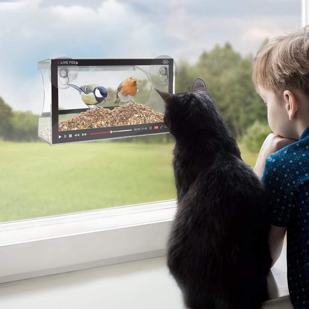 Live Feed Bird Feeder