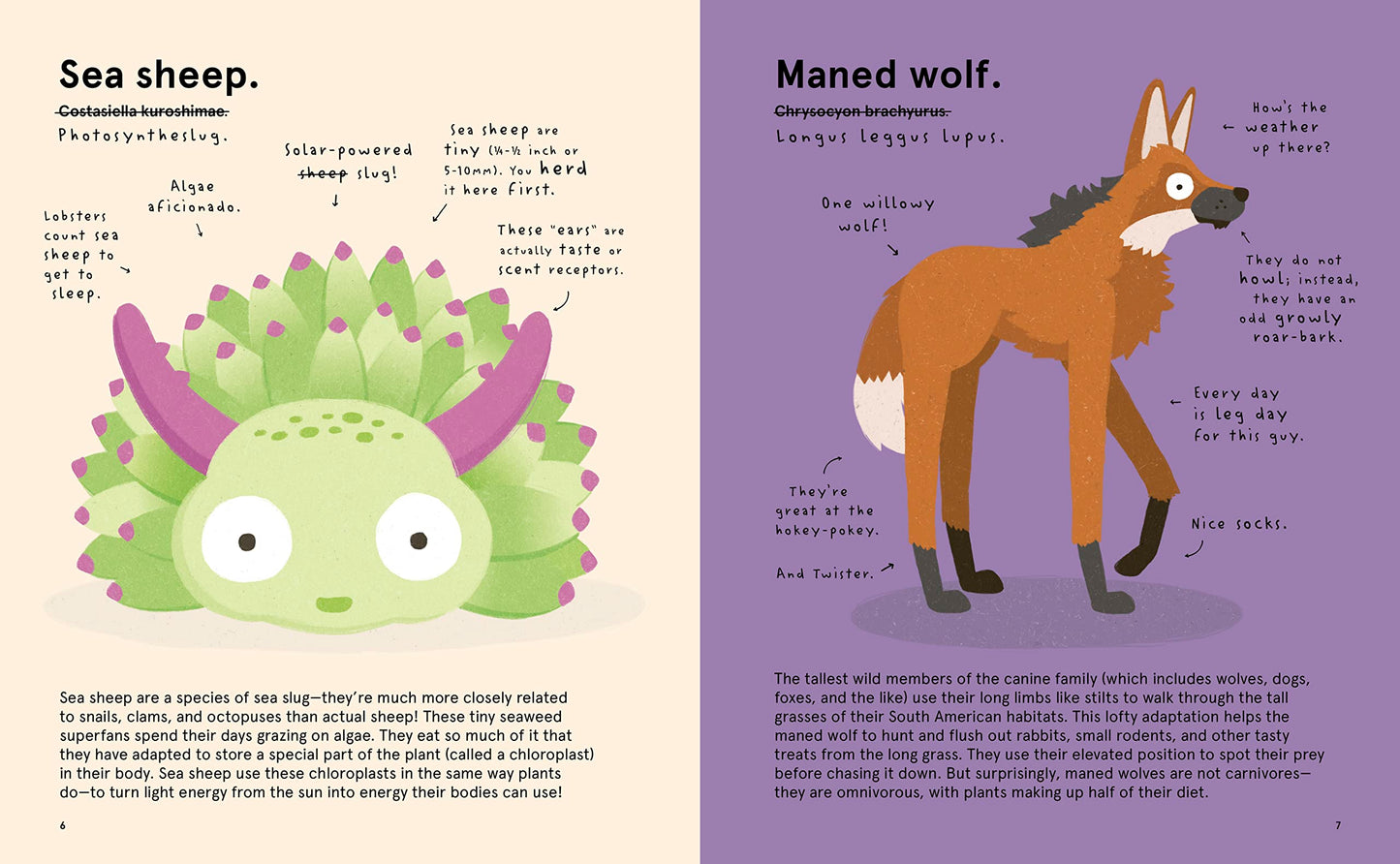 The World's Most Ridiculous Animals