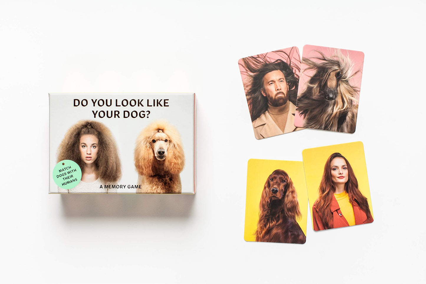 Do You Look Like Your Dog Game