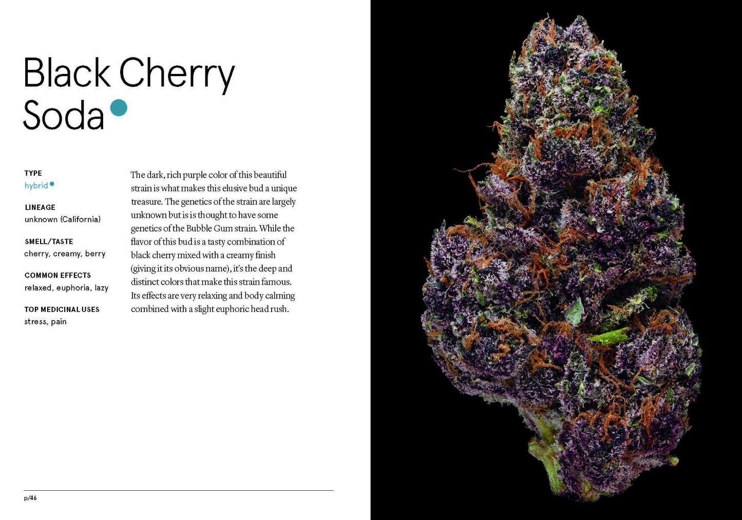Green: A Pocket Guide To Pot