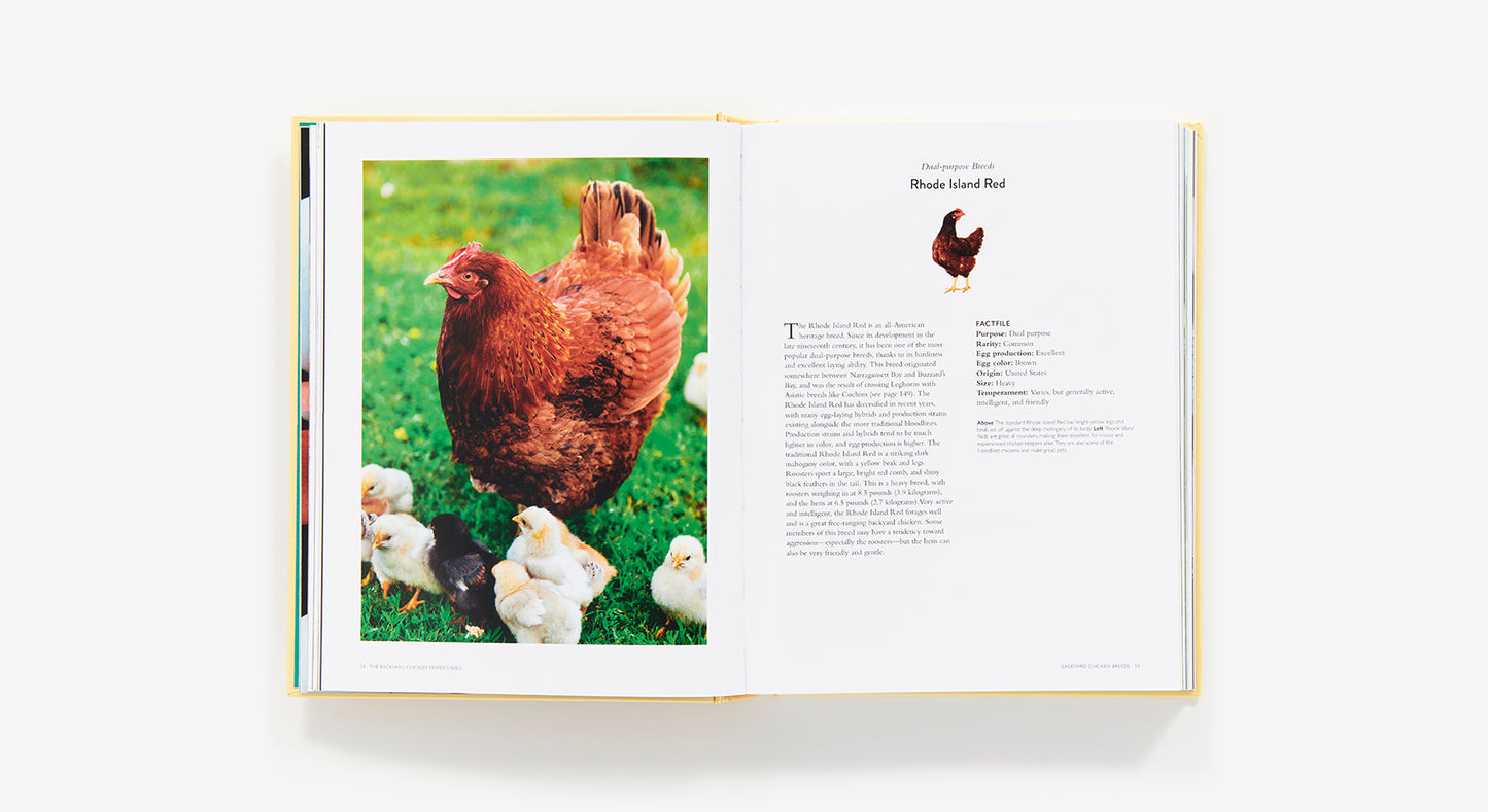 The Backyard Chicken Keeper's Bible