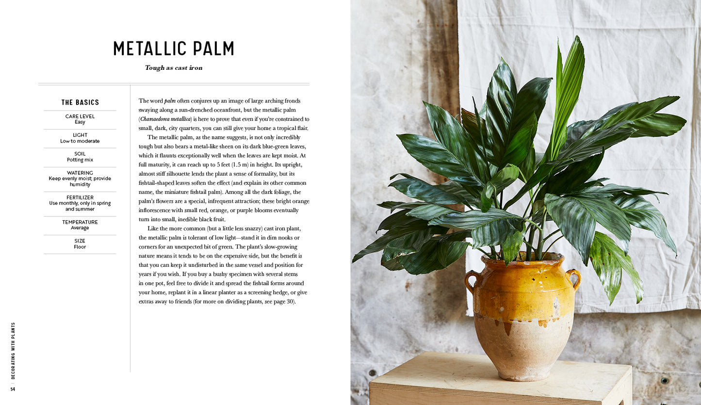 Decorating with Plants