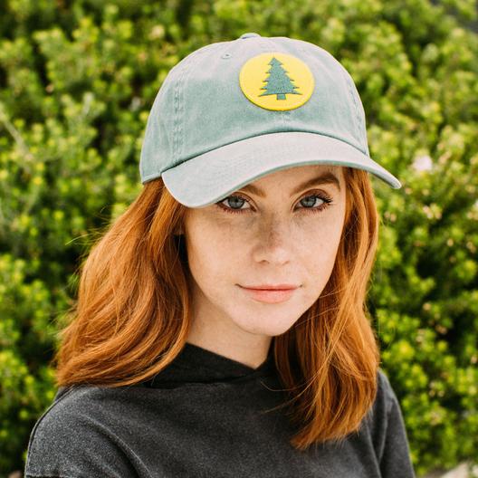 Archive - Maine Central Railroad