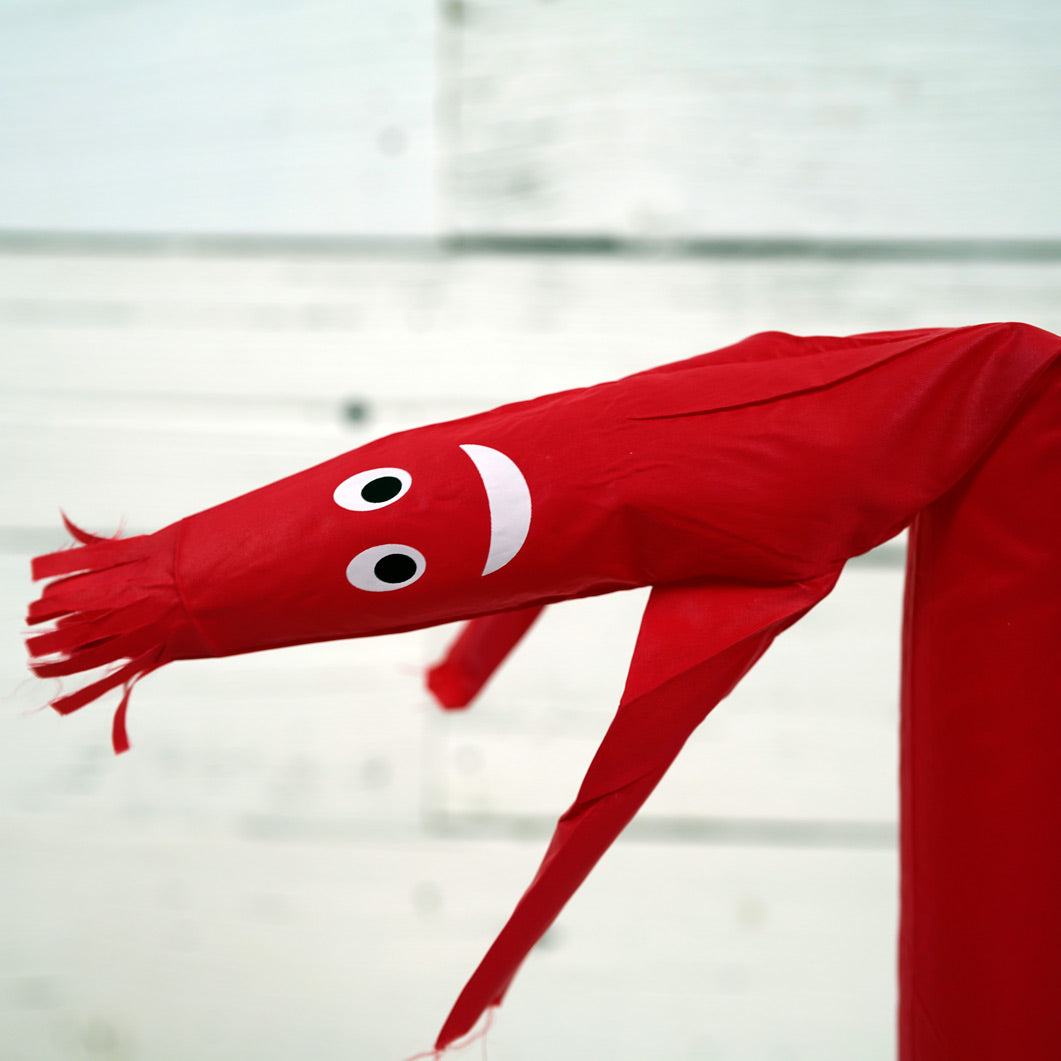 Wacky Waving Inflatable Tube Guy