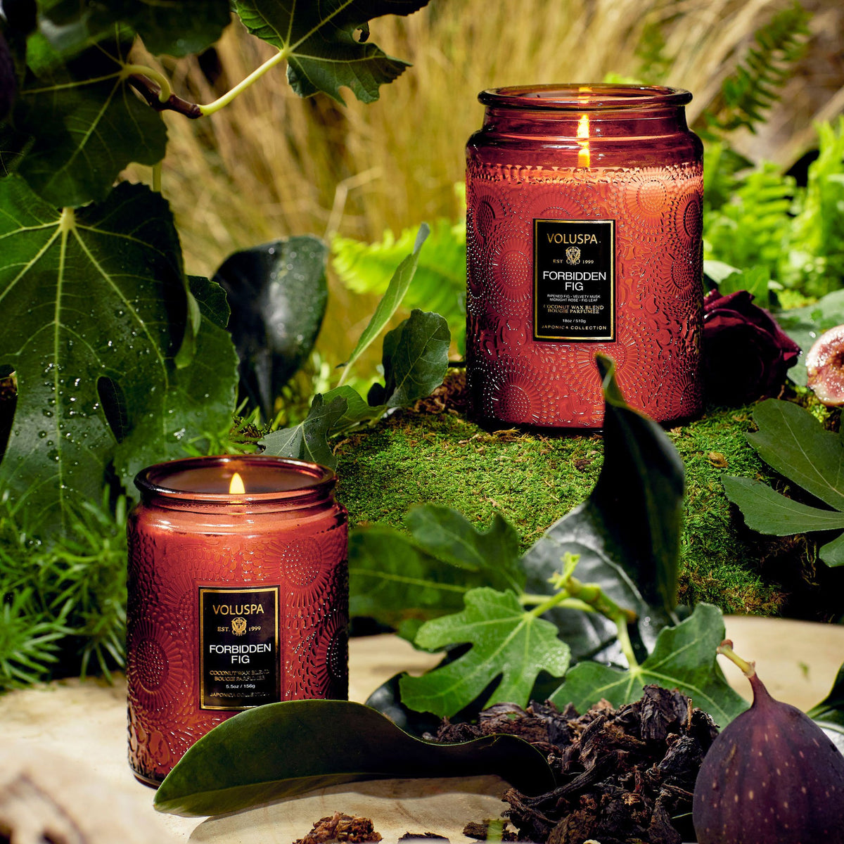 Large Embossed Glass Candle - Forbidden Fig