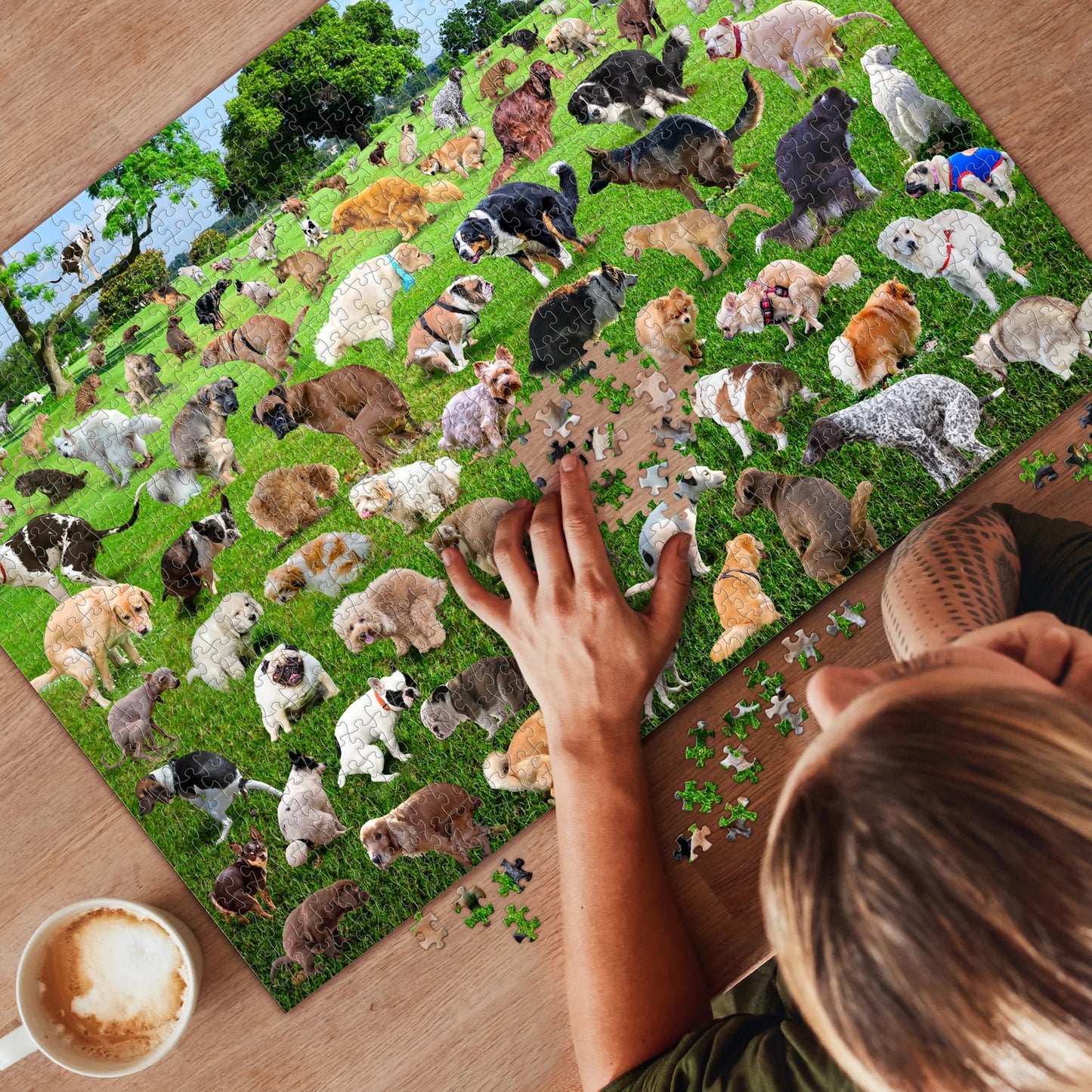 101 Pooping Puppies