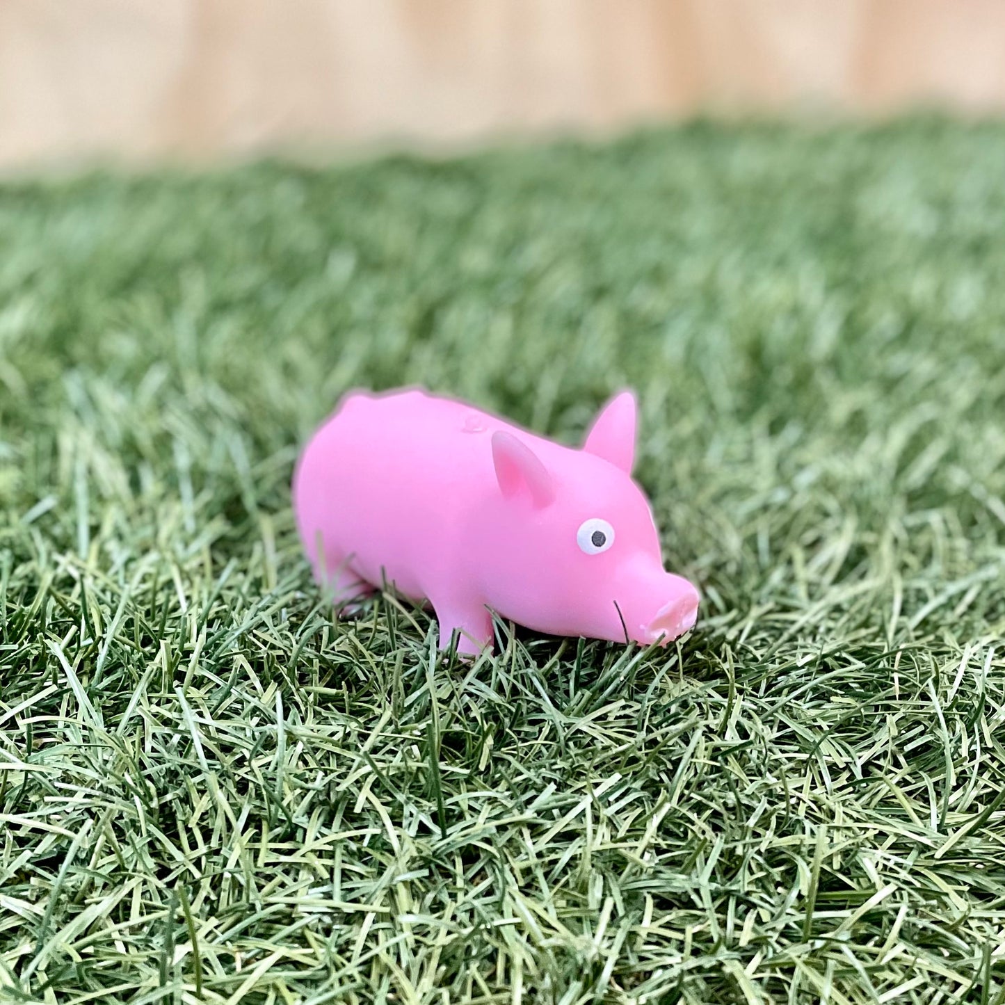 Squishy Pig