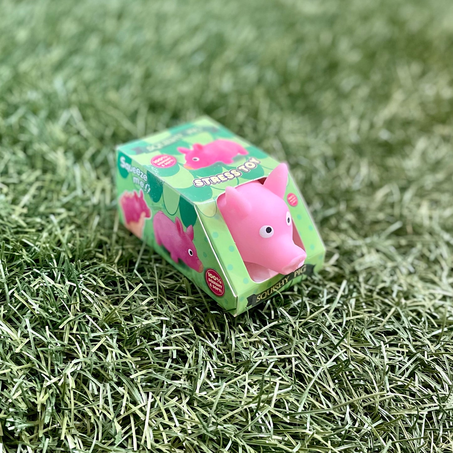Squishy Pig