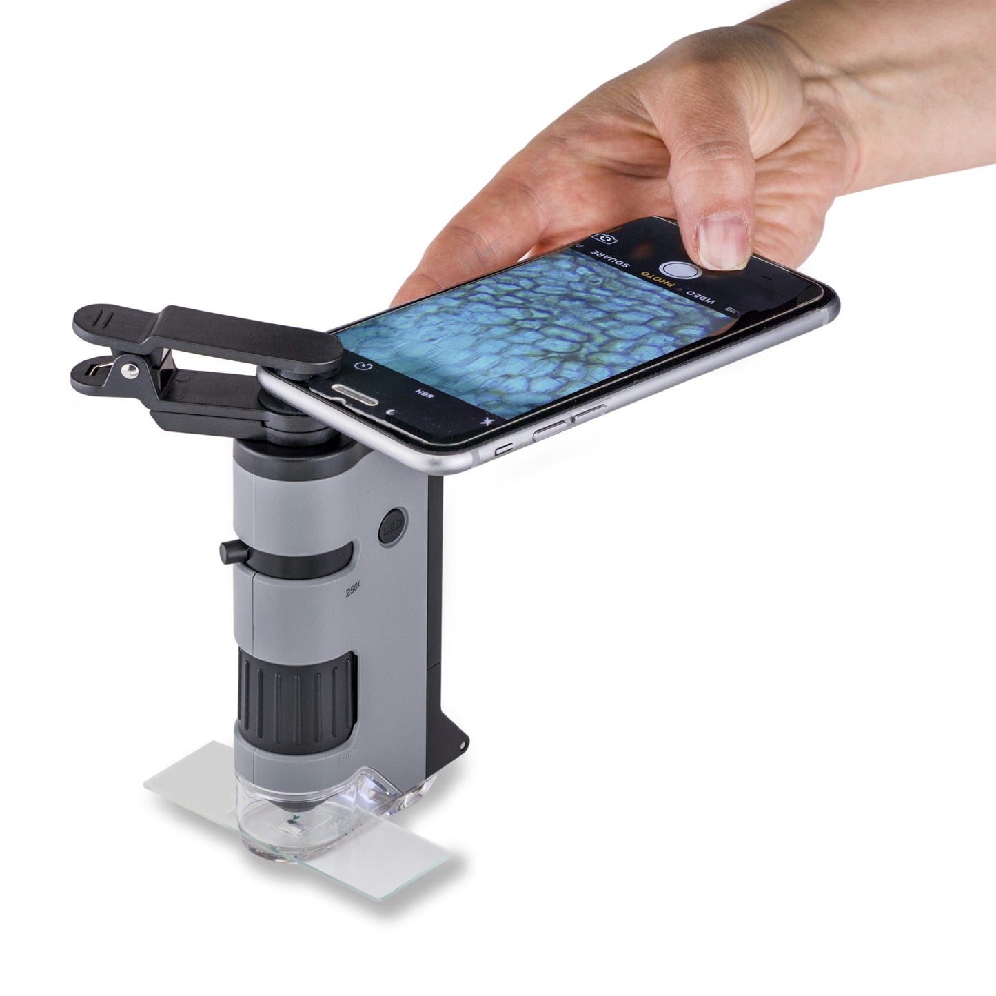 Carson Optics Pocket Microscope 100-250x