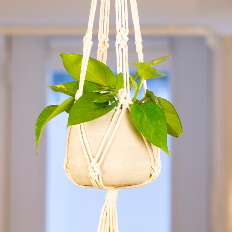 Beige Macrame + Cement Planter