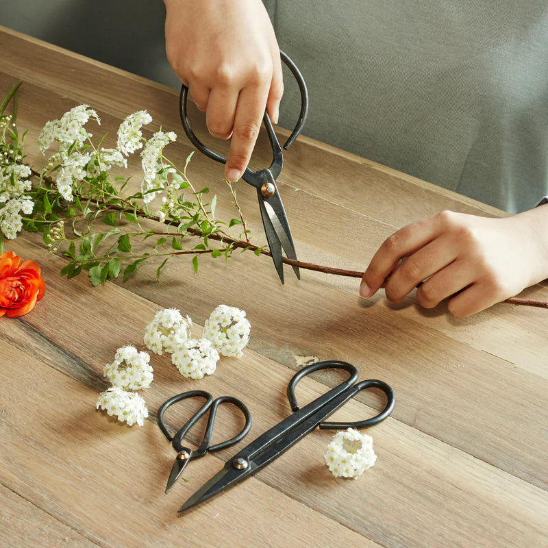 Garden Shears Set of 3