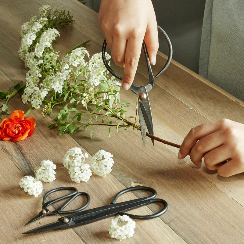 Garden Shears Set of 3