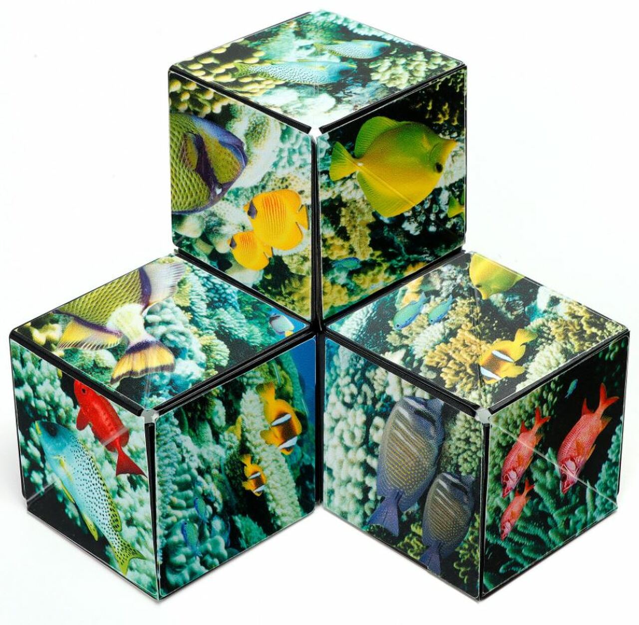 Shashibo Cube - Undersea