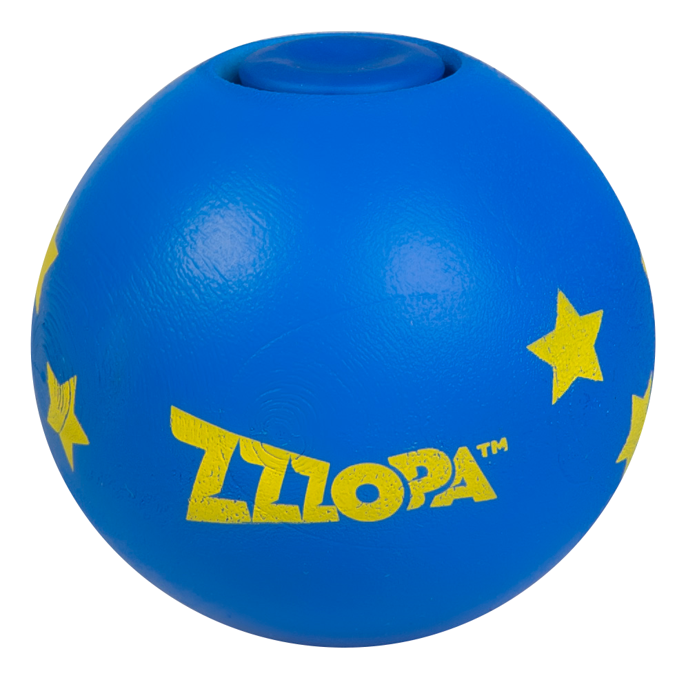ZZZopa Fun - Meteor