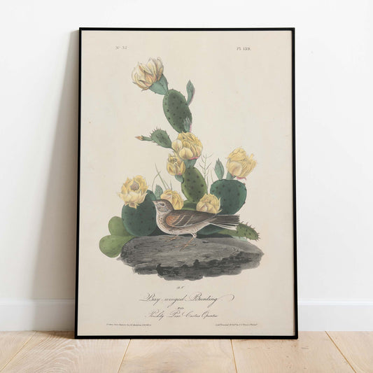 Vintage Bird & Cactus Print