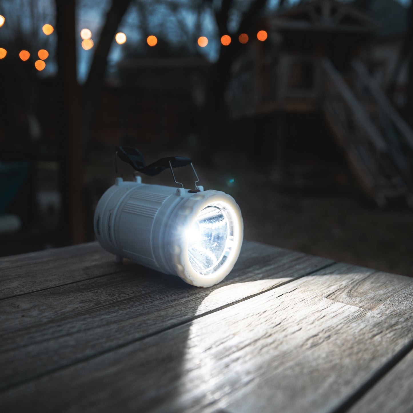 Z Bug Lantern + Light