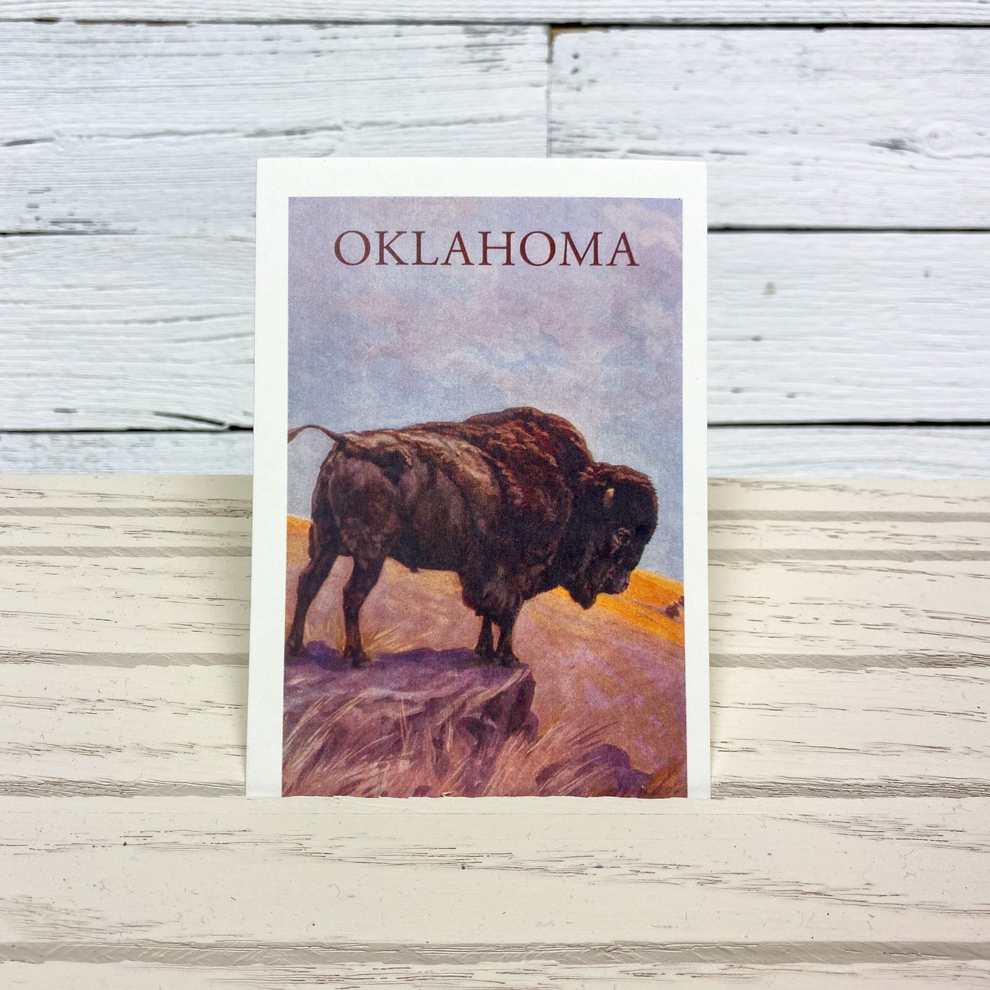 Bison on Rock Postcard