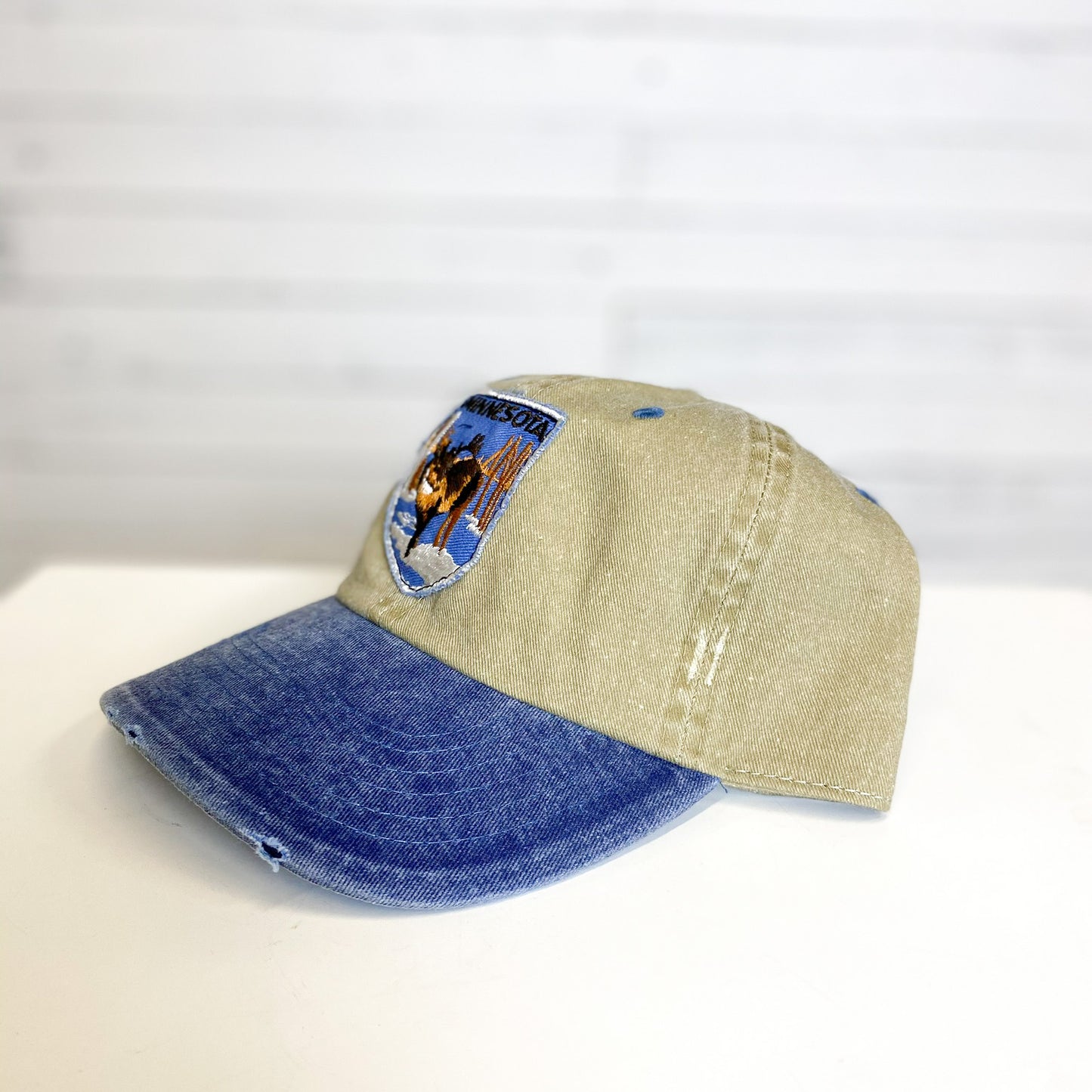 Vintage Minnesota Hat