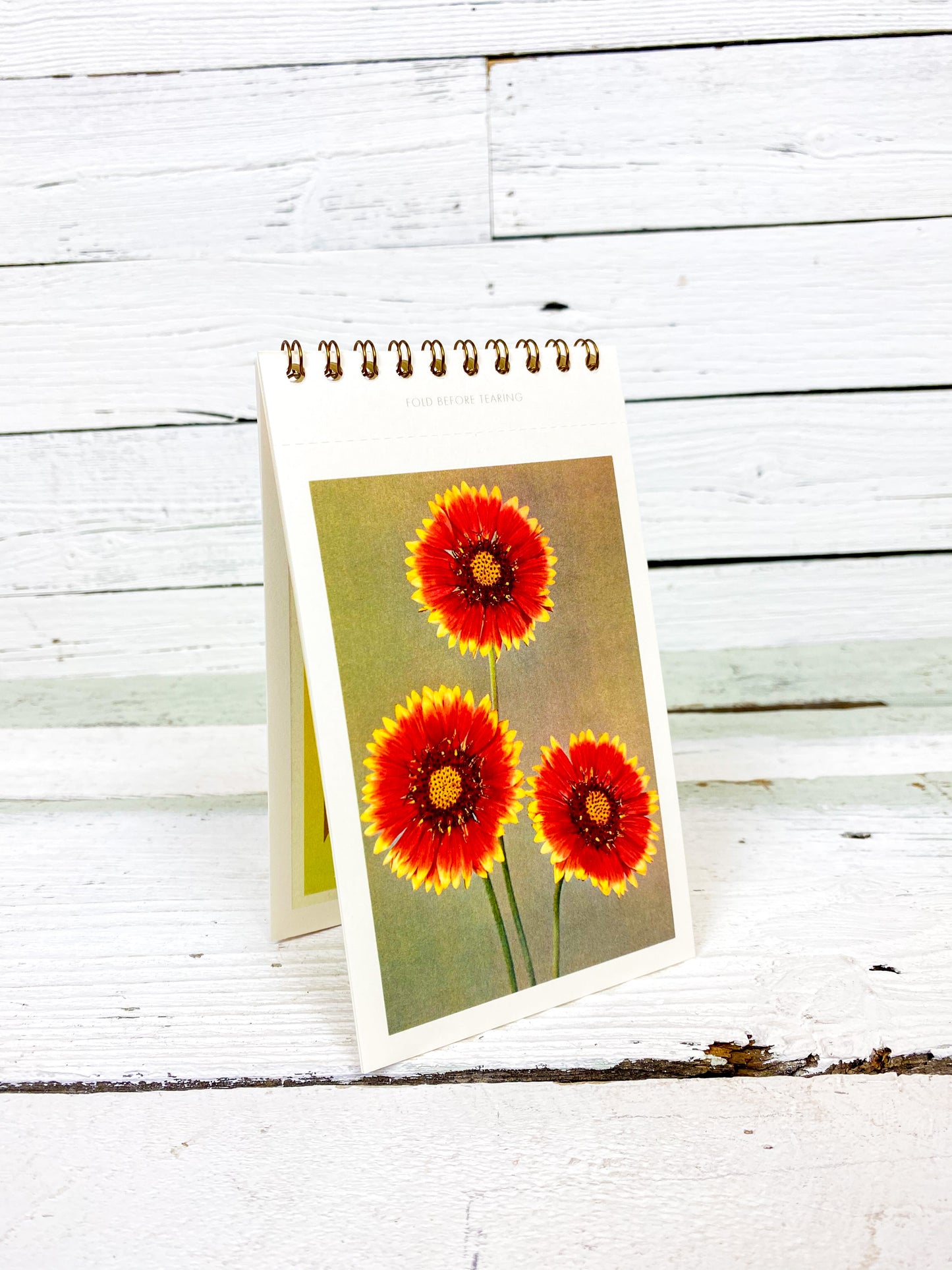 Found Image Oklahoma Postcard Booklet