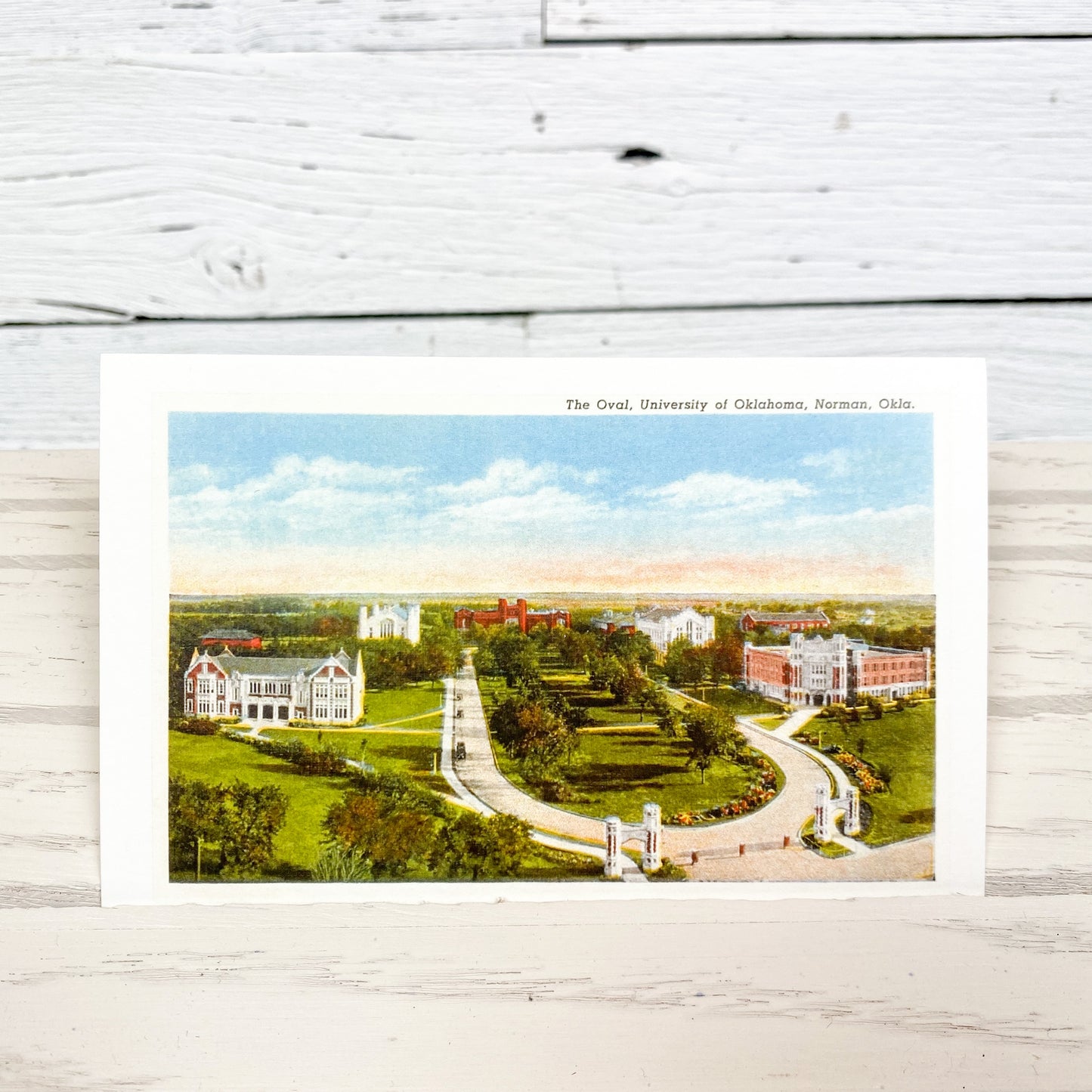 Oval University Postcard