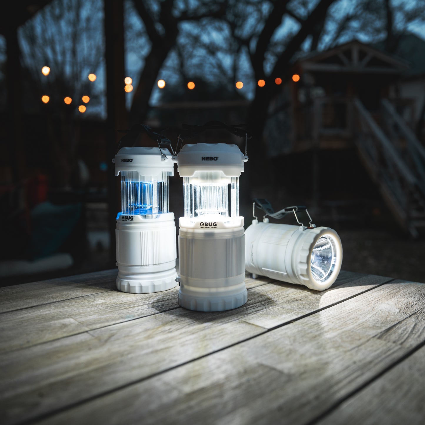 Z Bug Lantern + Light