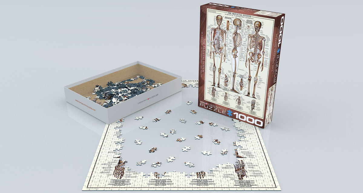The Skeletal System 1000PC Puzzle