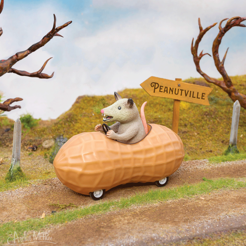 Racing Possum in a Peanut
