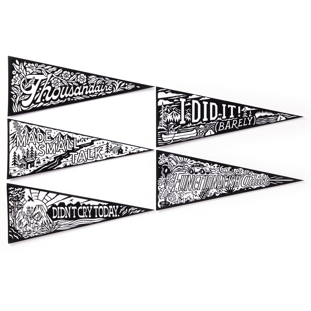 A Magic Velvet Pennant Coloring Set