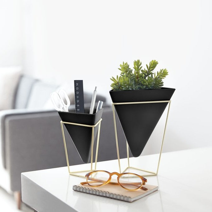 Trigg Tabletop Planter Set - Black/Brass
