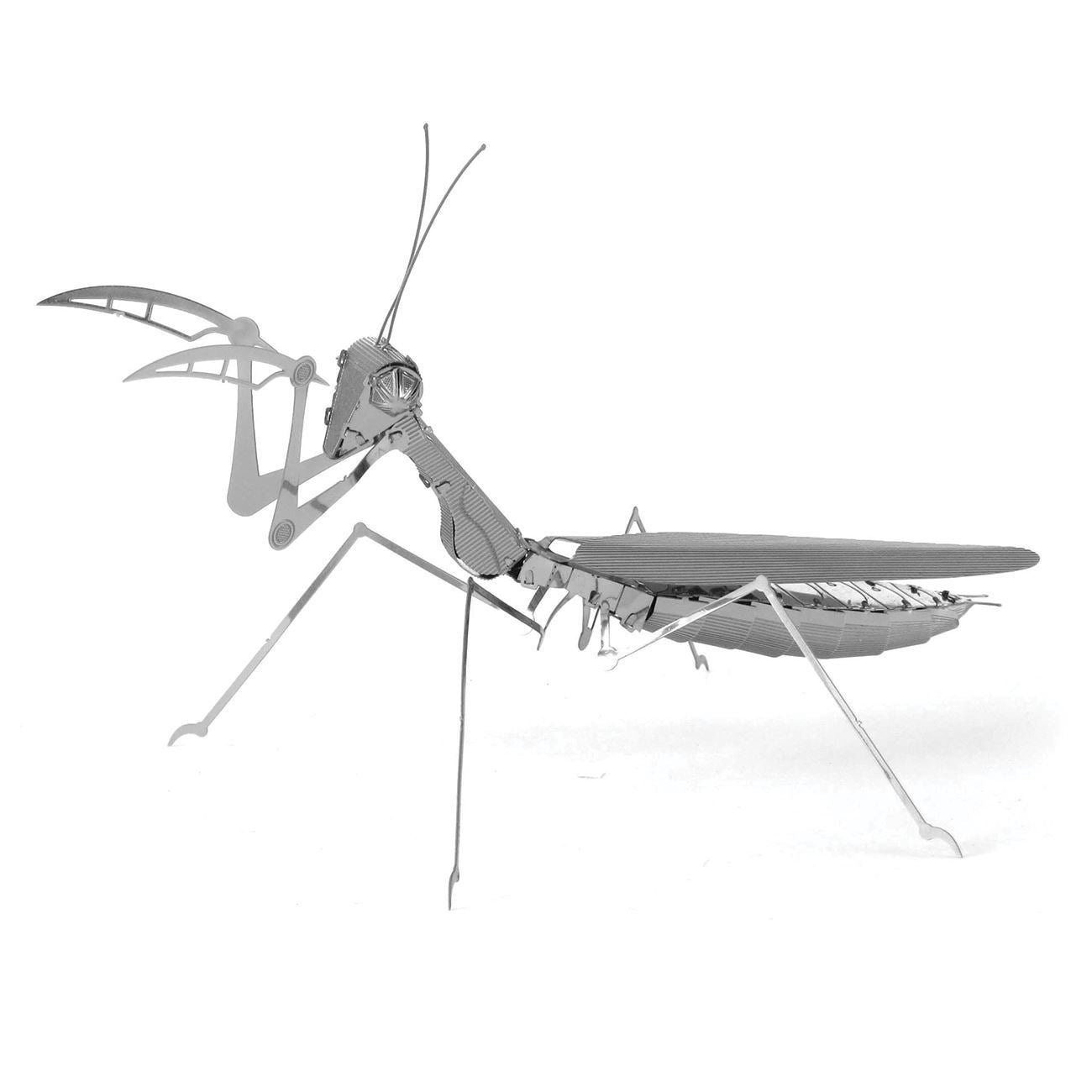 Praying Mantis Model Set