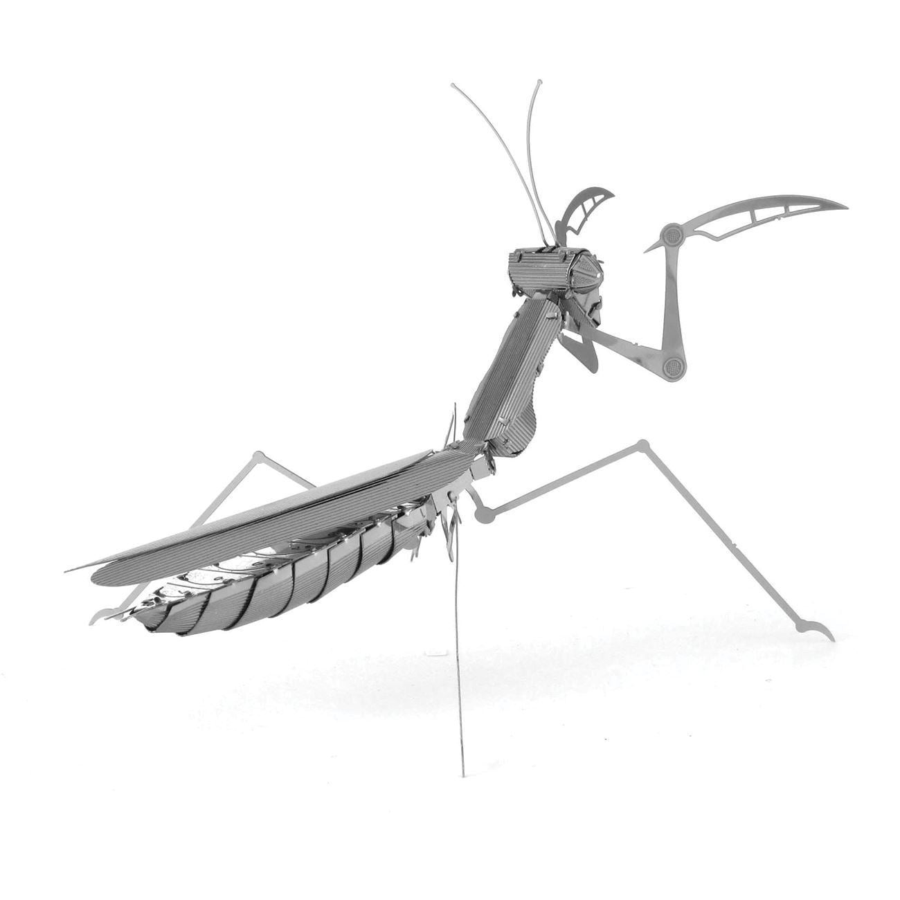 Praying Mantis Model Set