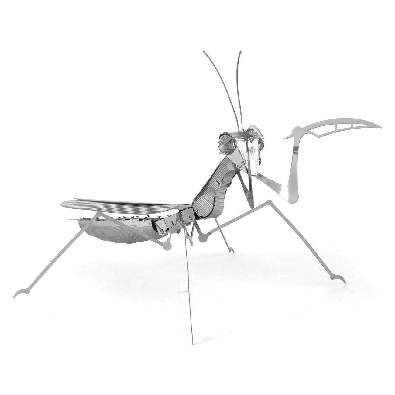 Praying Mantis Model Set