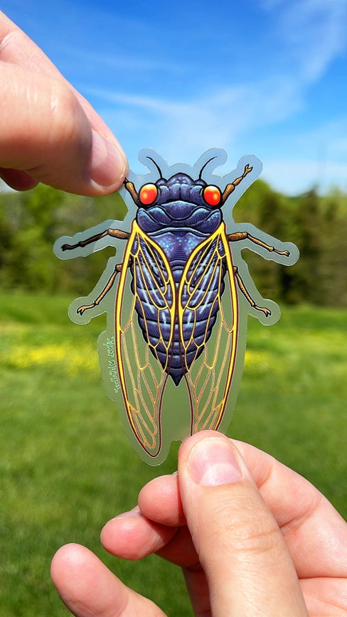 Clear Stickers: Cicada Sticker