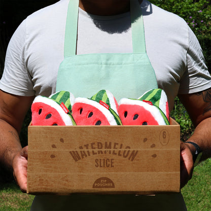 Plush Watermelon Zip Pouch