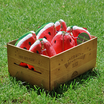 Plush Watermelon Zip Pouch