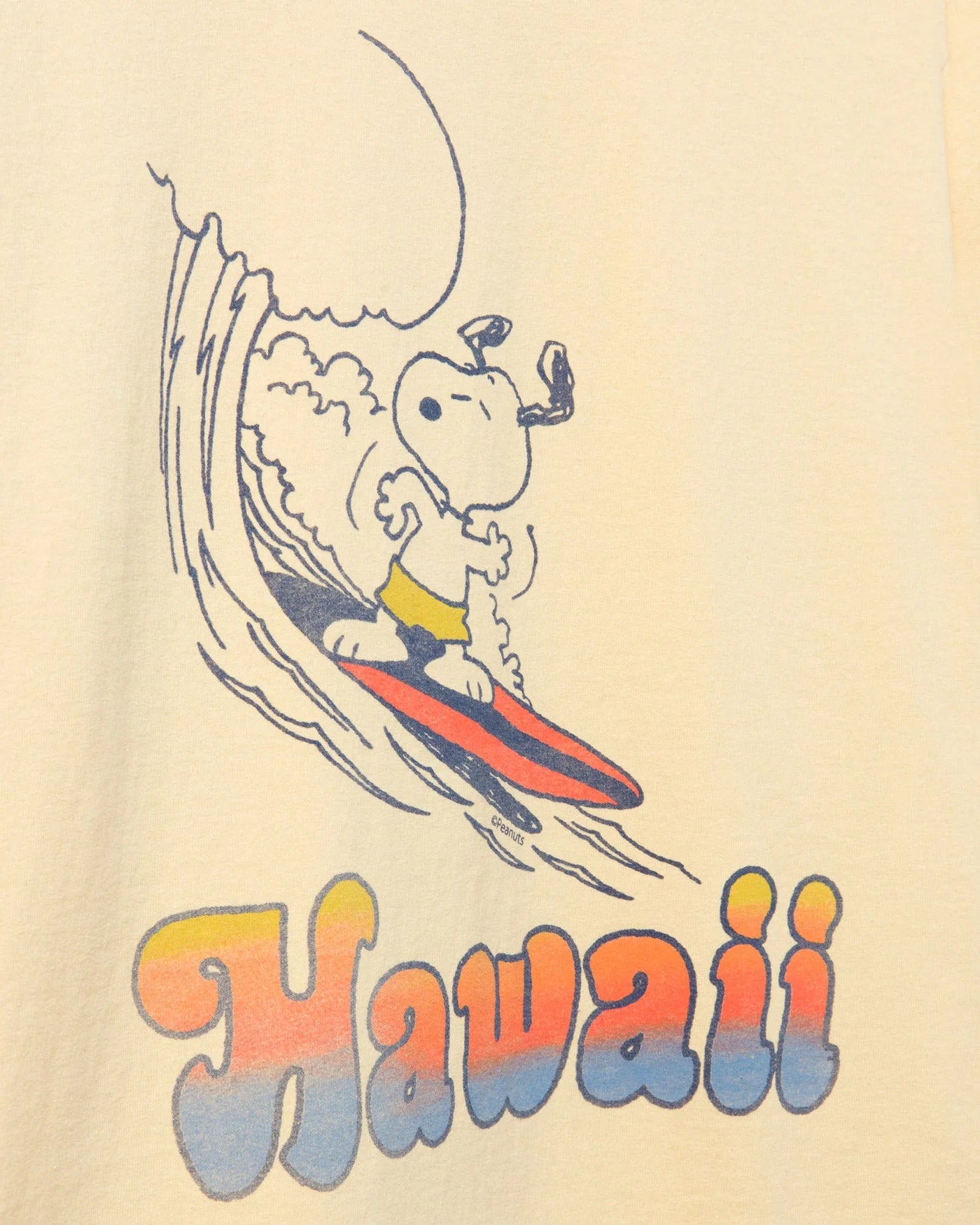 Snoopy Hawaii Tee