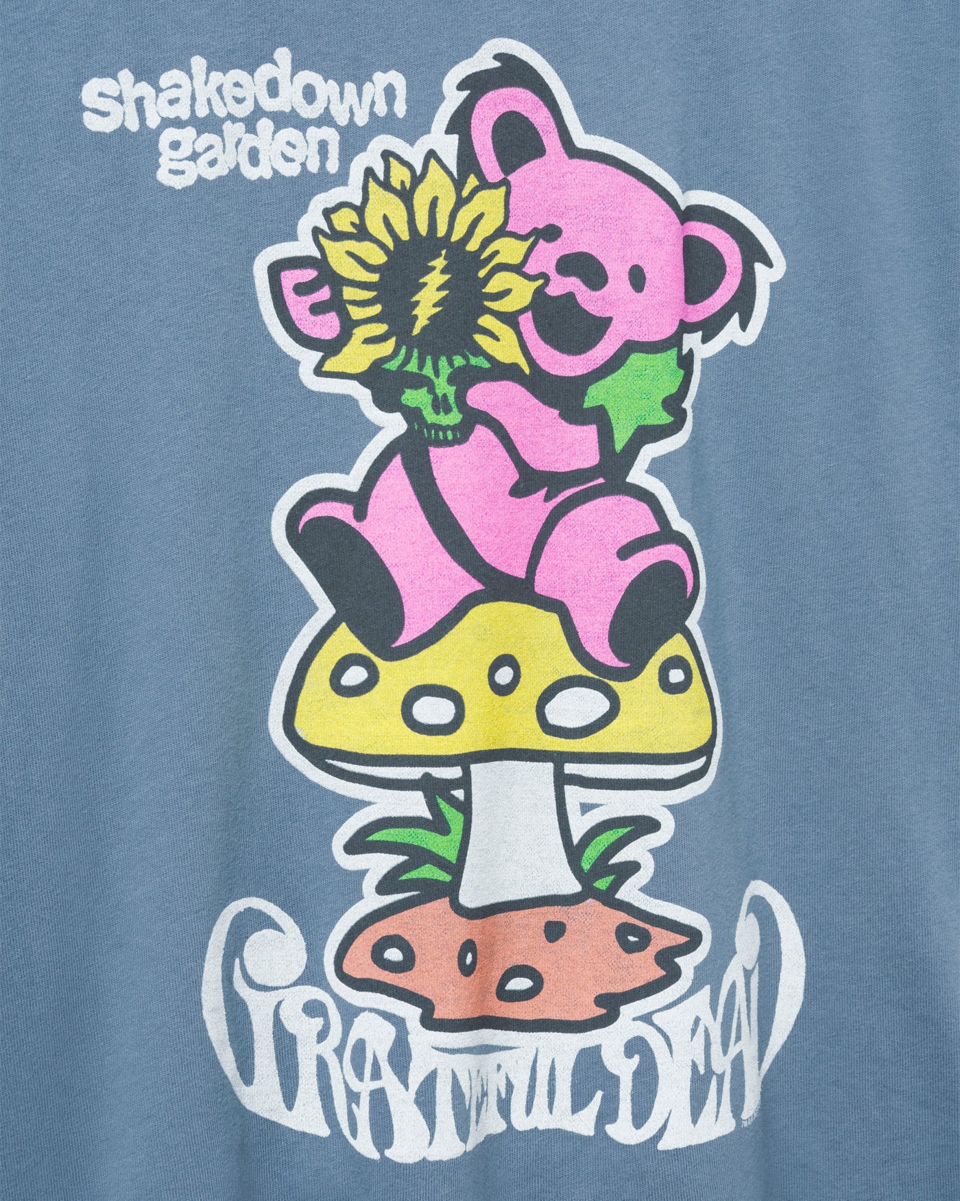 Women's Grateful Dead Shakedown Garden Vintage Tee - Deep Indigo