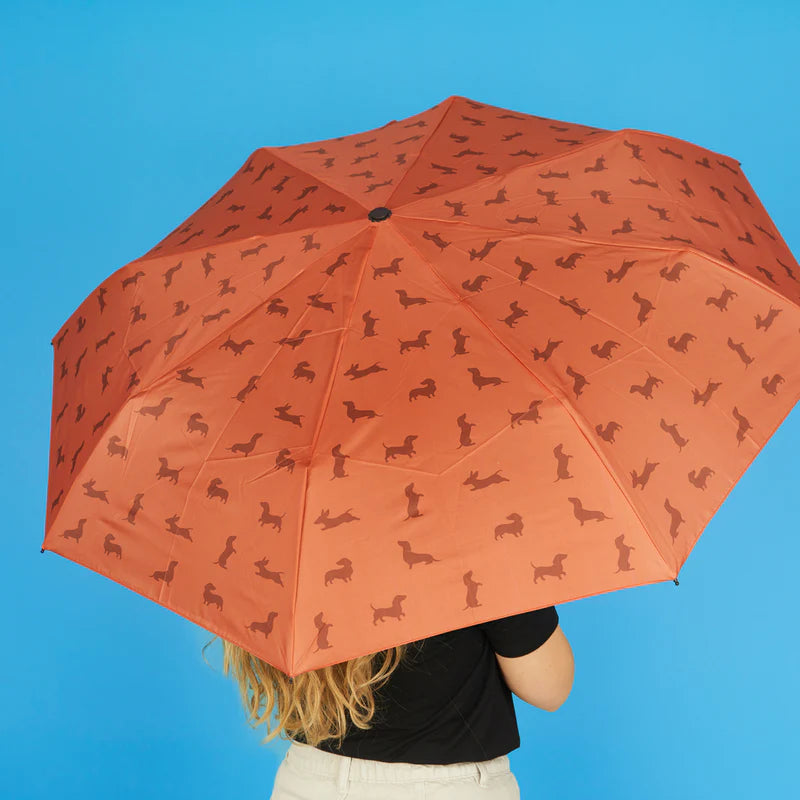 Teckel Brown Dachshund Umbrella