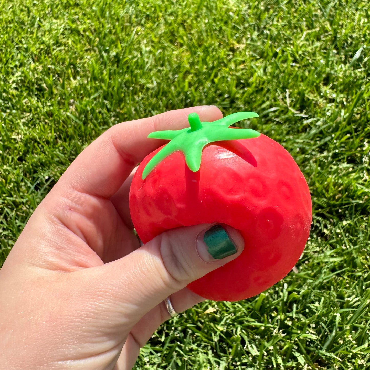 Small Strawberry Squishy