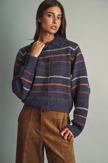 Striped Knit Cardigan - Blue Multi