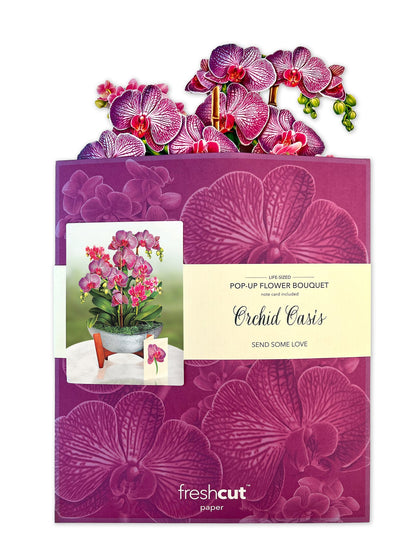 Orchid Oasis 3D Pop Up Bouquet