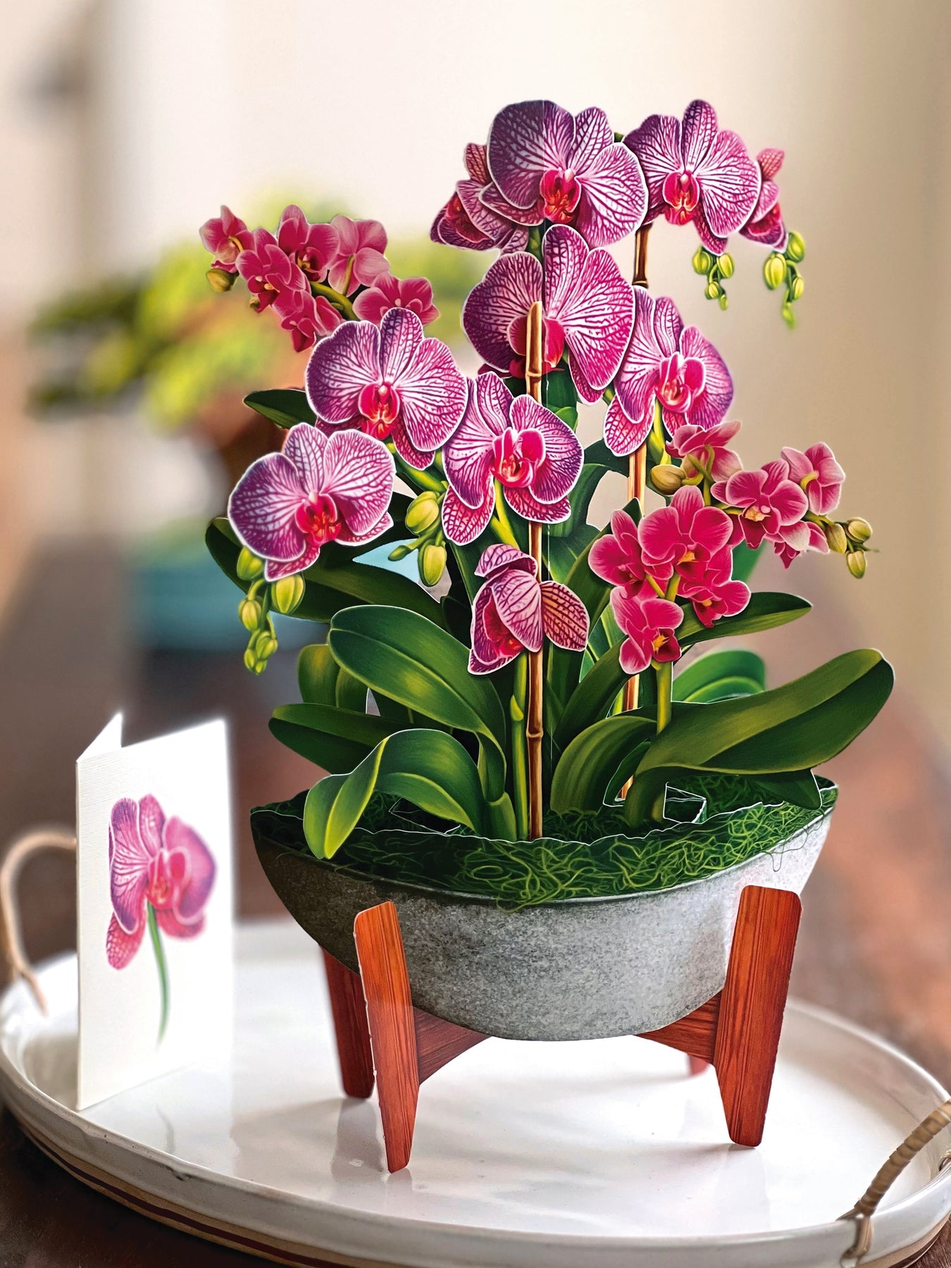 Orchid Oasis 3D Pop Up Bouquet