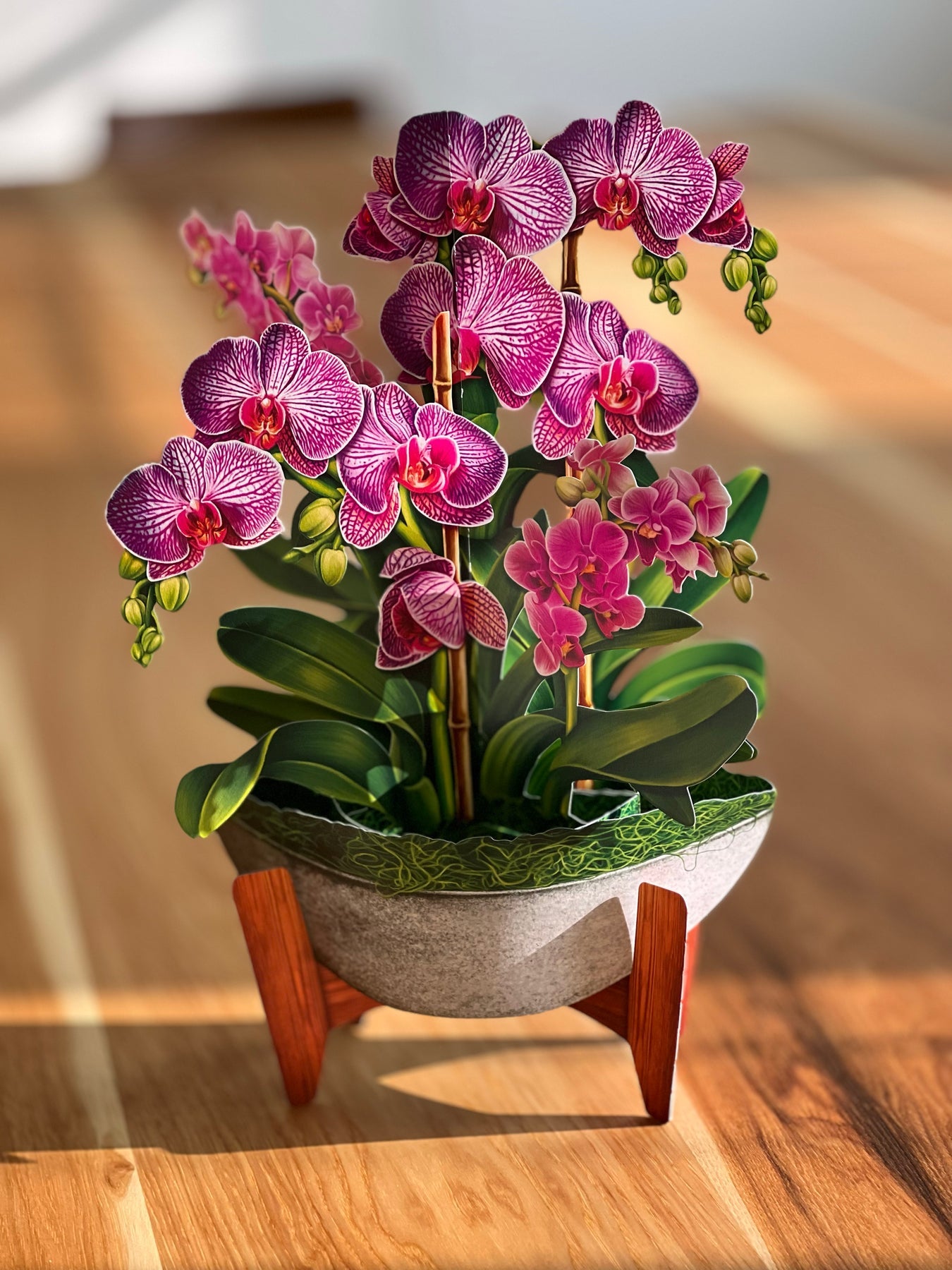 Orchid Oasis 3D Pop Up Bouquet
