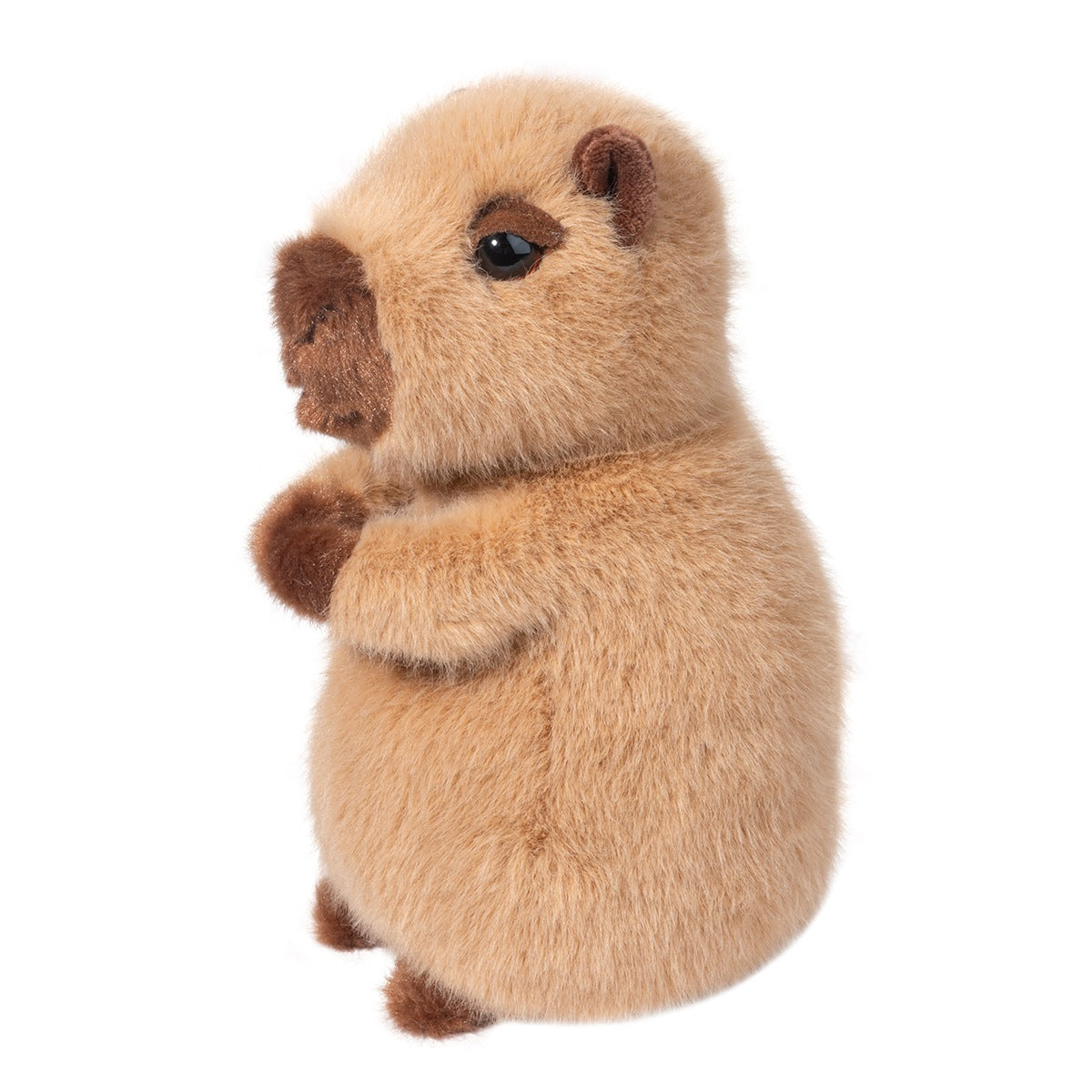 Chattie Capybara Mini