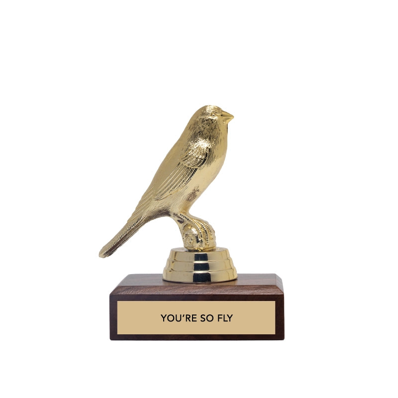 Encouragement Trophy - You're So Fly