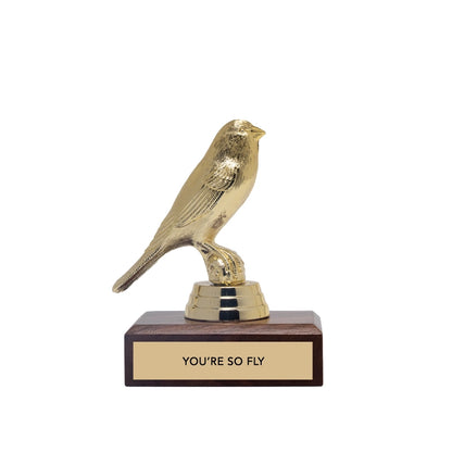 Encouragement Trophy - You're So Fly