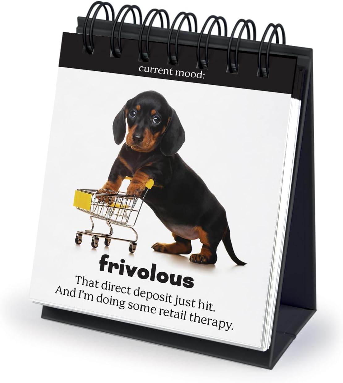 Daily Doggo Desk Flipchart