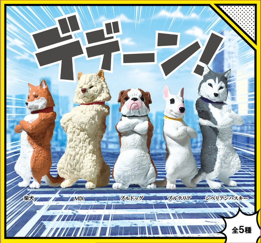 Cool Dog Blind Box