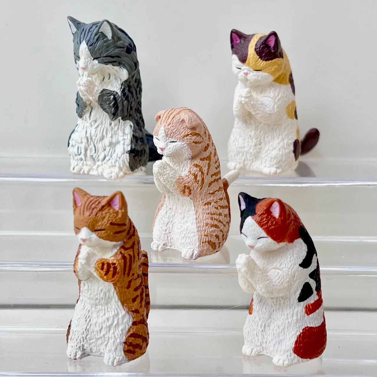 Wishing Cats Vol 2 Blind Box