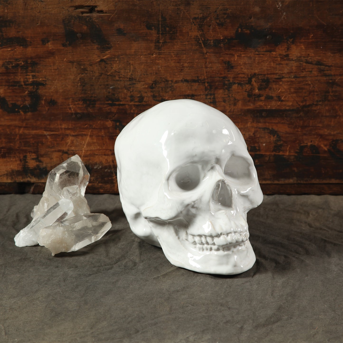 Ceramic Skull - White